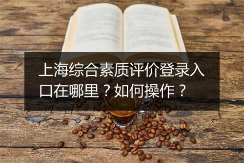 上海综合素质评价登录入口在哪里？如何操作？
