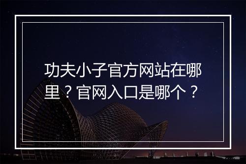 功夫小子官方网站在哪里？官网入口是哪个？