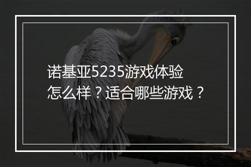 诺基亚5235游戏体验怎么样？适合哪些游戏？