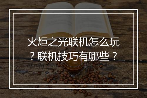 火炬之光联机怎么玩？联机技巧有哪些？