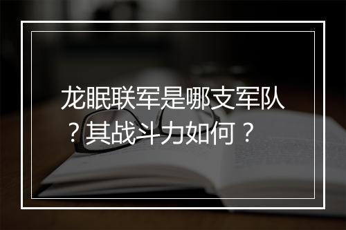 龙眠联军是哪支军队？其战斗力如何？