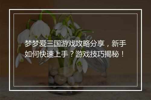 梦梦爱三国游戏攻略分享，新手如何快速上手？游戏技巧揭秘！