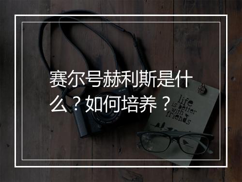 赛尔号赫利斯是什么？如何培养？