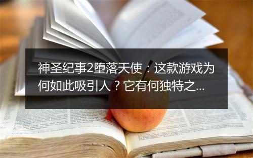 神圣纪事2堕落天使：这款游戏为何如此吸引人？它有何独特之处？