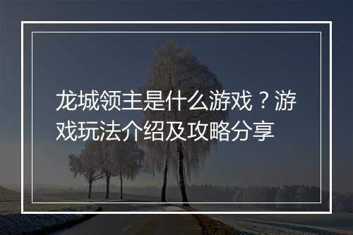 龙城领主是什么游戏？游戏玩法介绍及攻略分享
