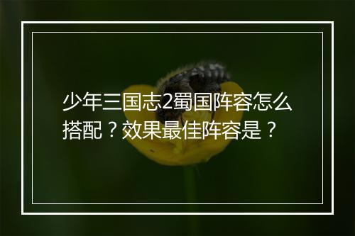 少年三国志2蜀国阵容怎么搭配?效果最佳阵容是?