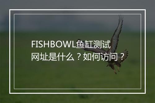FISHBOWL鱼缸测试网址是什么？如何访问？