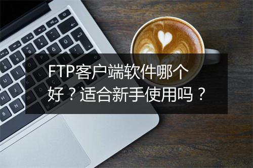FTP客户端软件哪个好？适合新手使用吗？