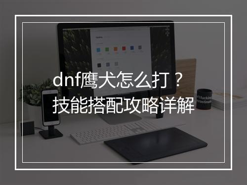 dnf鹰犬怎么打？技能搭配攻略详解