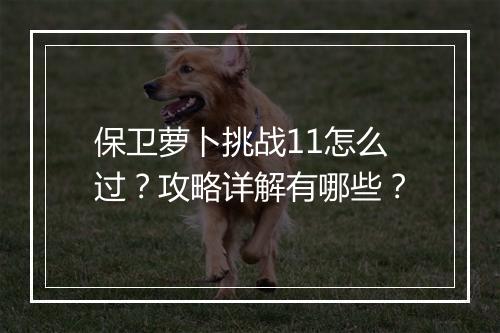 保卫萝卜挑战11怎么过？攻略详解有哪些？