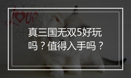 真三国无双5好玩吗？值得入手吗？