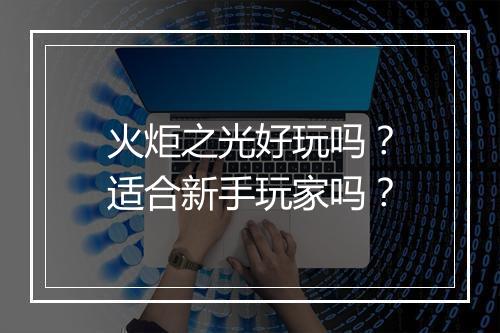 火炬之光好玩吗？适合新手玩家吗？