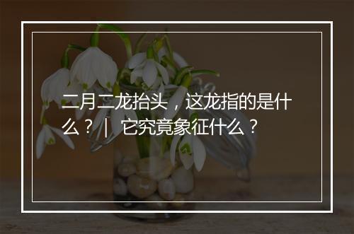 二月二龙抬头，这龙指的是什么？｜ 它究竟象征什么？