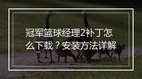冠军篮球经理2补丁怎么下载？安装方法详解