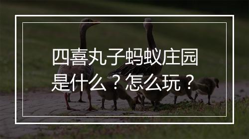 四喜丸子蚂蚁庄园是什么？怎么玩？