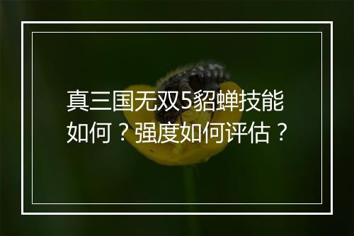 真三国无双5貂蝉技能如何？强度如何评估？