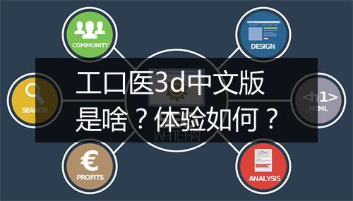 工口医3d中文版是啥？体验如何？