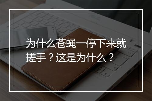 为什么苍蝇一停下来就搓手？这是为什么？