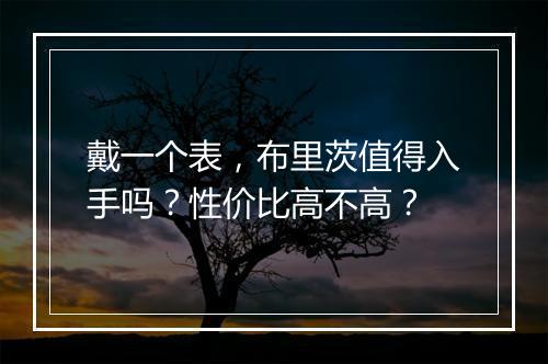 戴一个表，布里茨值得入手吗？性价比高不高？