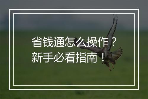 省钱通怎么操作？新手必看指南！