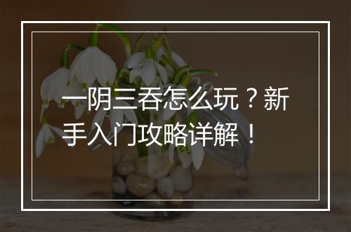 一阴三吞怎么玩？新手入门攻略详解！