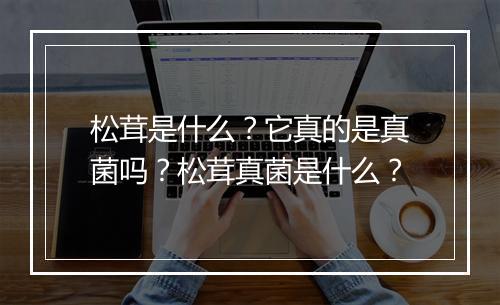 松茸是什么？它真的是真菌吗？松茸真菌是什么？