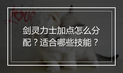 剑灵力士加点怎么分配？适合哪些技能？