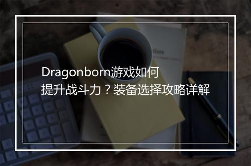 Dragonborn游戏如何提升战斗力？装备选择攻略详解
