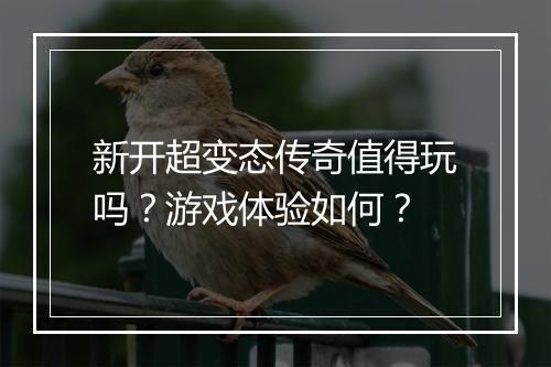 新开超变态传奇值得玩吗？游戏体验如何？