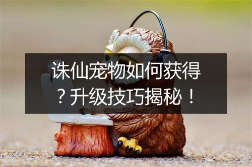 诛仙宠物如何获得？升级技巧揭秘！