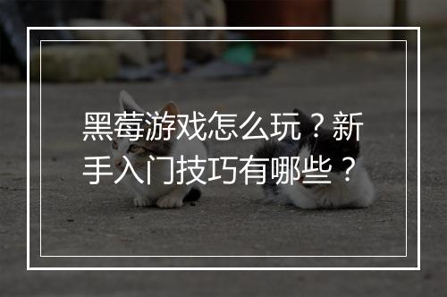 黑莓游戏怎么玩？新手入门技巧有哪些？
