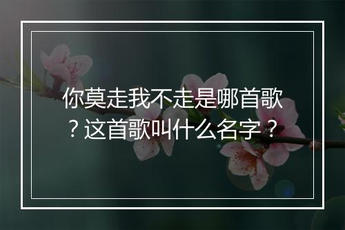你莫走我不走是哪首歌？这首歌叫什么名字？