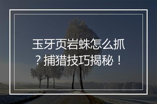 玉牙页岩蛛怎么抓？捕猎技巧揭秘！