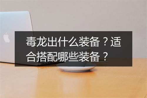 毒龙出什么装备？适合搭配哪些装备？