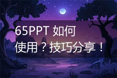 65PPT 如何使用？技巧分享！