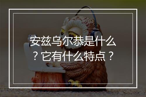 安兹乌尔恭是什么？它有什么特点？