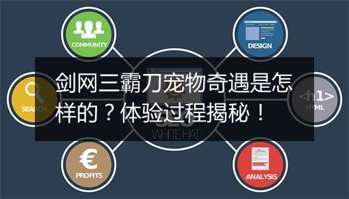 剑网三霸刀宠物奇遇是怎样的？体验过程揭秘！