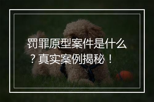 罚罪原型案件是什么？真实案例揭秘！