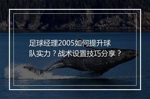 足球经理2005如何提升球队实力？战术设置技巧分享？