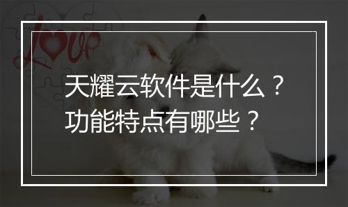 天耀云软件是什么？功能特点有哪些？