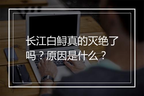 长江白鲟真的灭绝了吗？原因是什么？