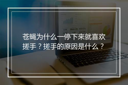 苍蝇为什么一停下来就喜欢搓手？搓手的原因是什么？