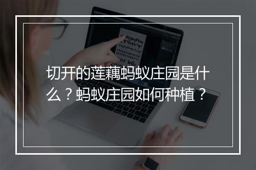 切开的莲藕蚂蚁庄园是什么？蚂蚁庄园如何种植？