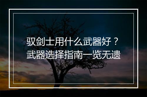 驭剑士用什么武器好？武器选择指南一览无遗