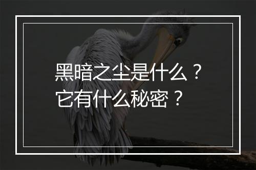 黑暗之尘是什么？它有什么秘密？