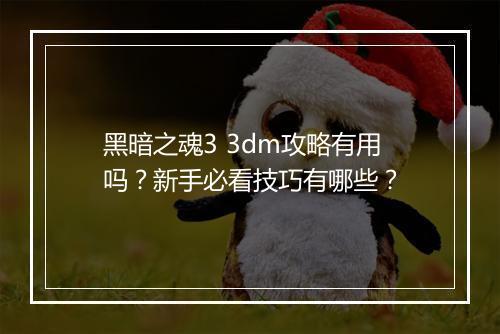 黑暗之魂3 3dm攻略有用吗？新手必看技巧有哪些？