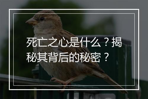 死亡之心是什么？揭秘其背后的秘密？