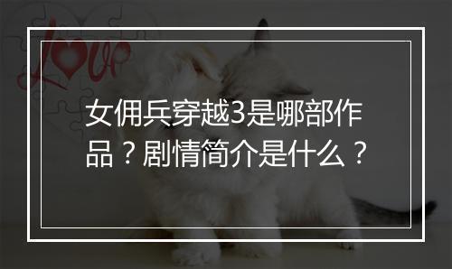 女佣兵穿越3是哪部作品？剧情简介是什么？
