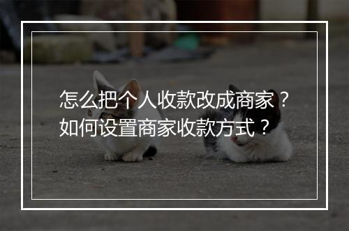 怎么把个人收款改成商家？如何设置商家收款方式？