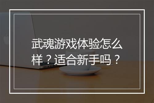 武魂游戏体验怎么样？适合新手吗？